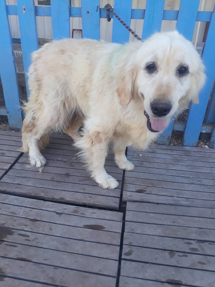 Cali (fka Blossom)  